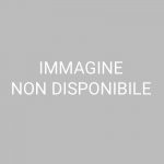 In mostra: “Le macchine sognanti di Leonardo”