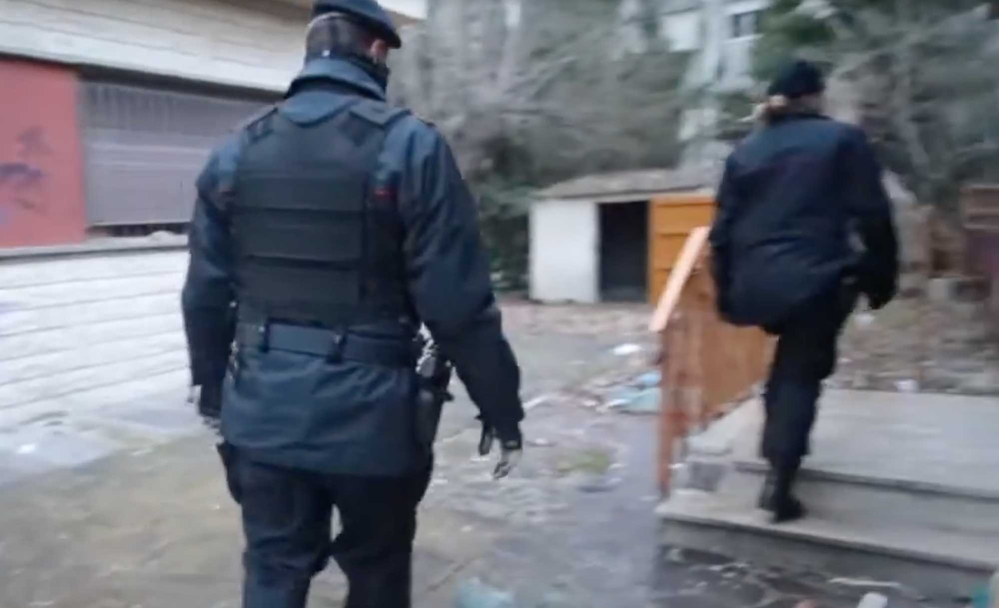 Blitz alle colonie con unità cinofila IL VIDEO