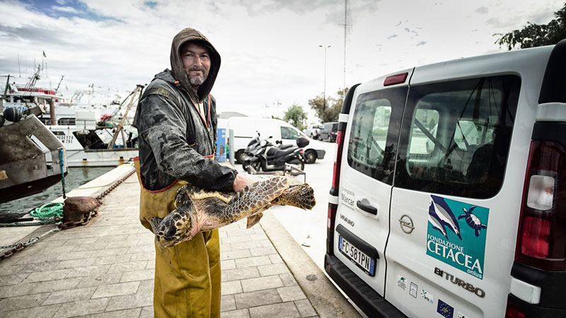 Salvano tartaruga intrappolata LE FOTO