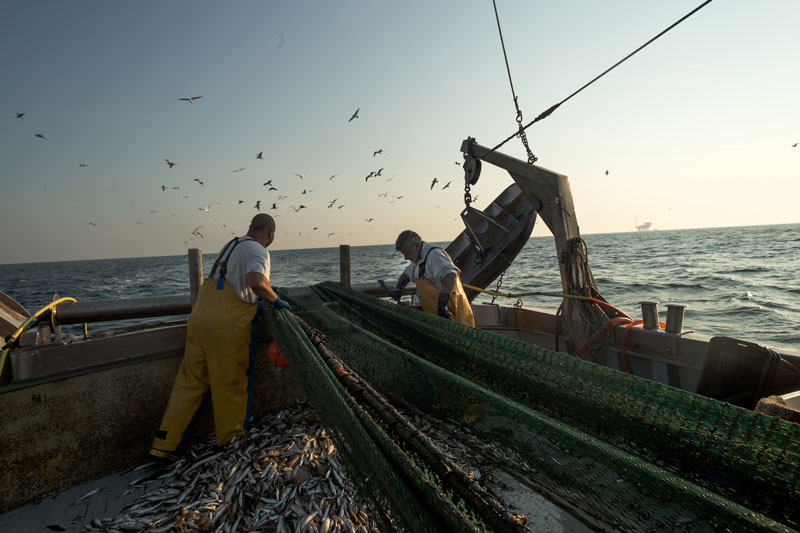 Allungati i giorni di fermo pesca: mazzata per la marineria