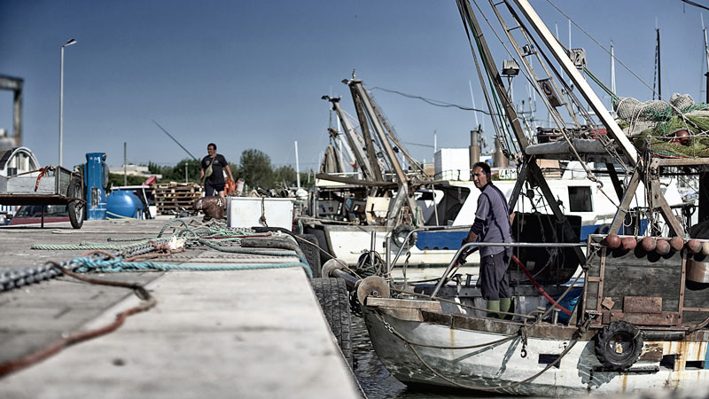 Riduzione delle pesca in Adriatico e tonno rosso: la posizione di Cesenatico