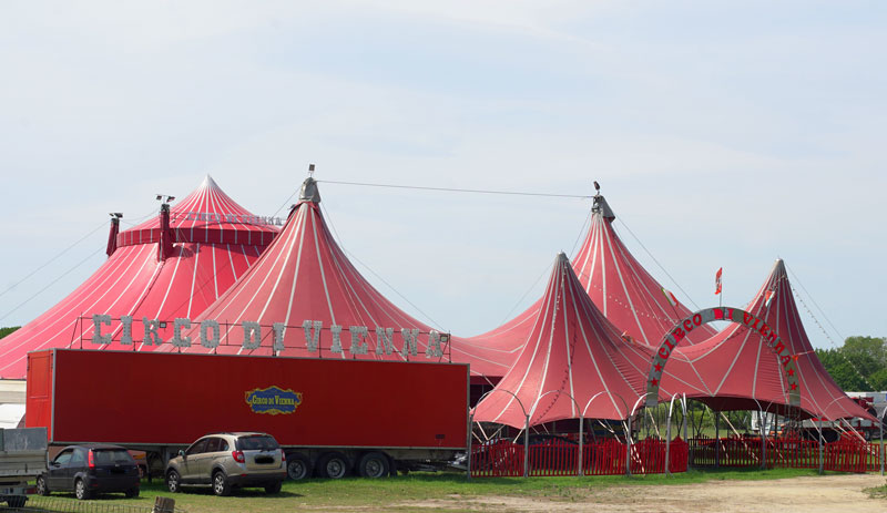 Circo di Vienna: “Noi restiamo e aspettiamo il sindaco”