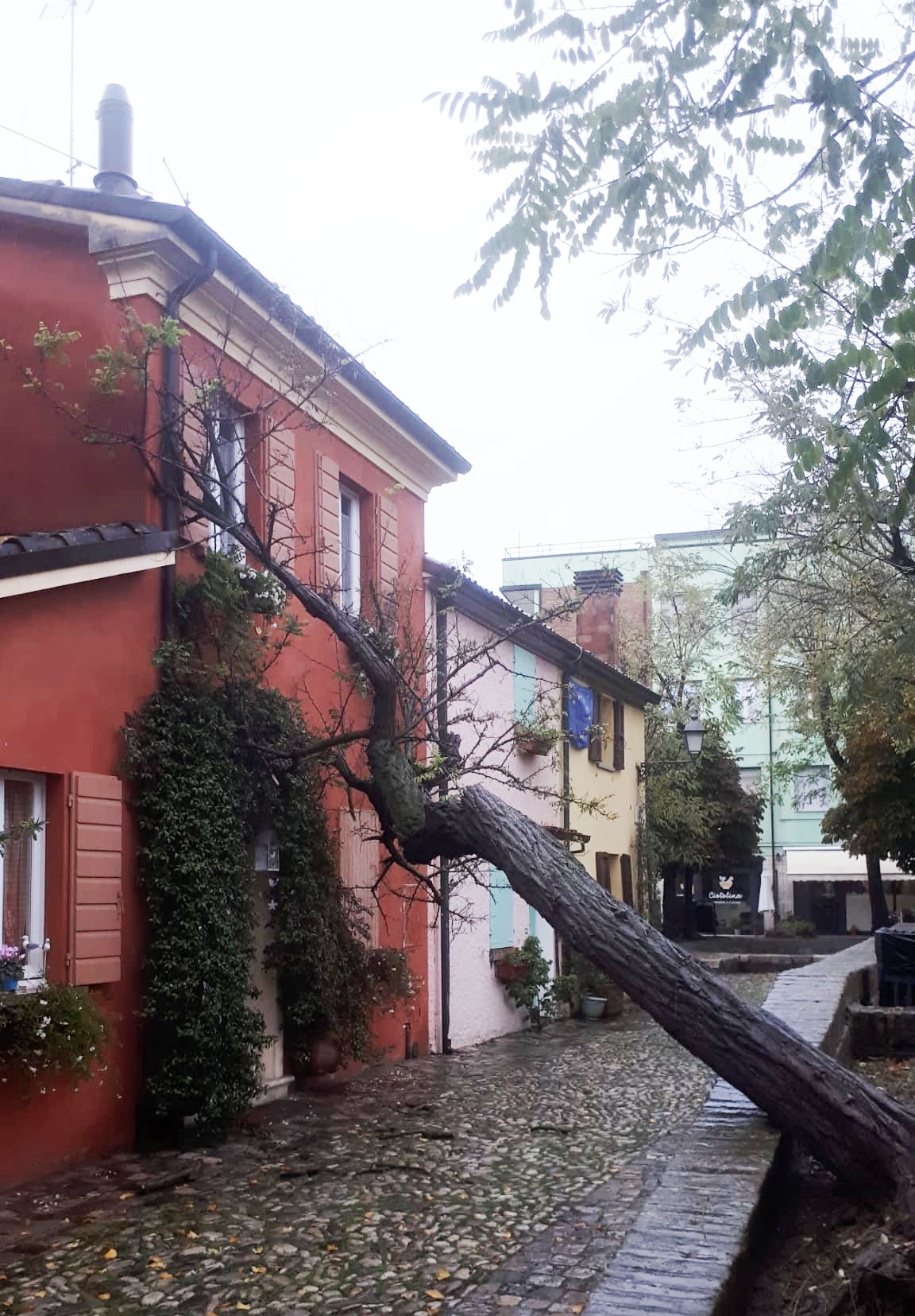 Piazza delle Conserve, cade albero su una casa