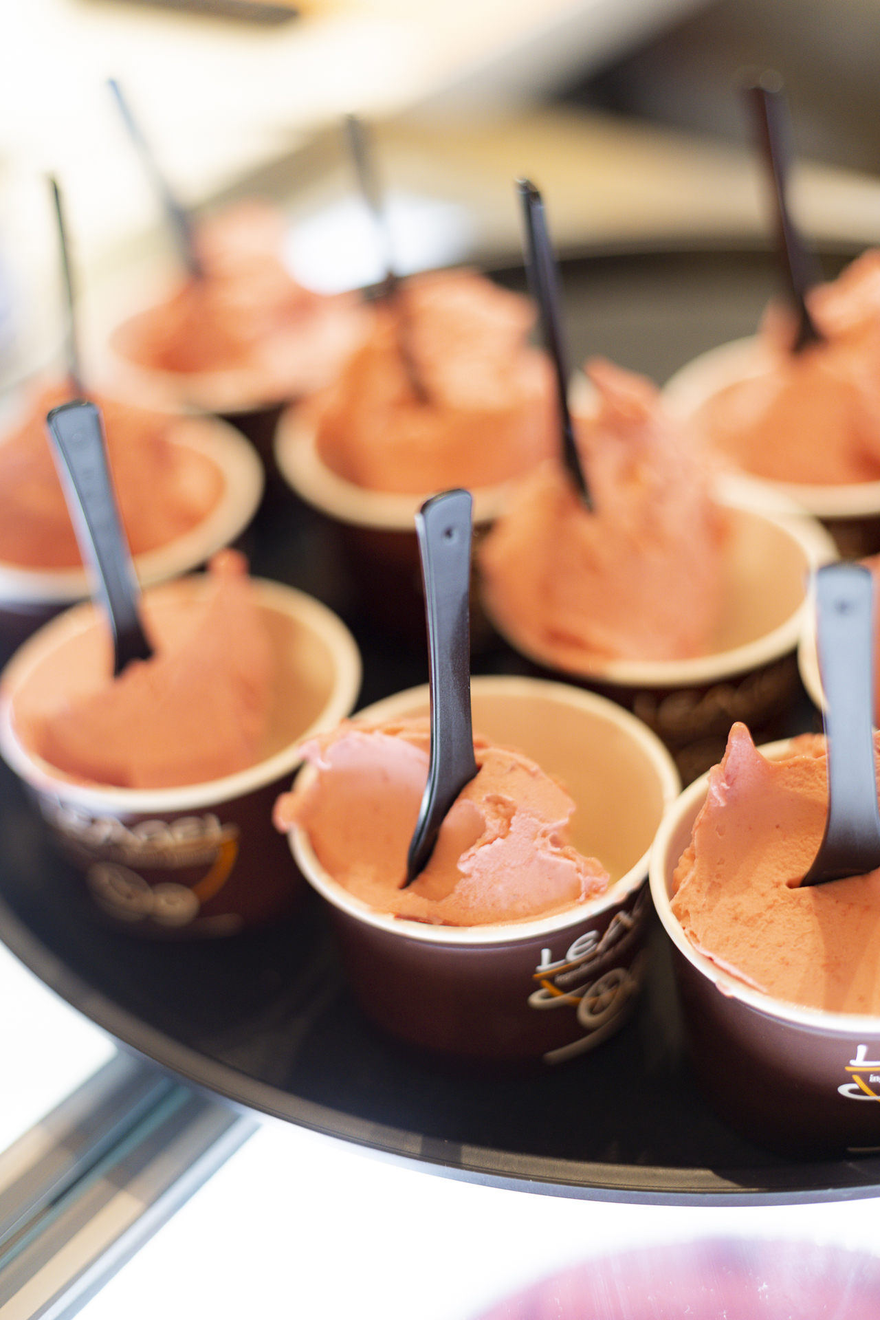 gelato fermentato Roberto Leoni