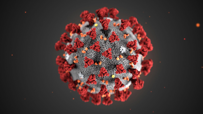 Coronavirus: disposizioni utili dal Comune