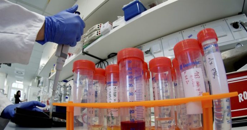 Coronavirus: in Emilia Romagna 53 nuovi casi e nessun decesso