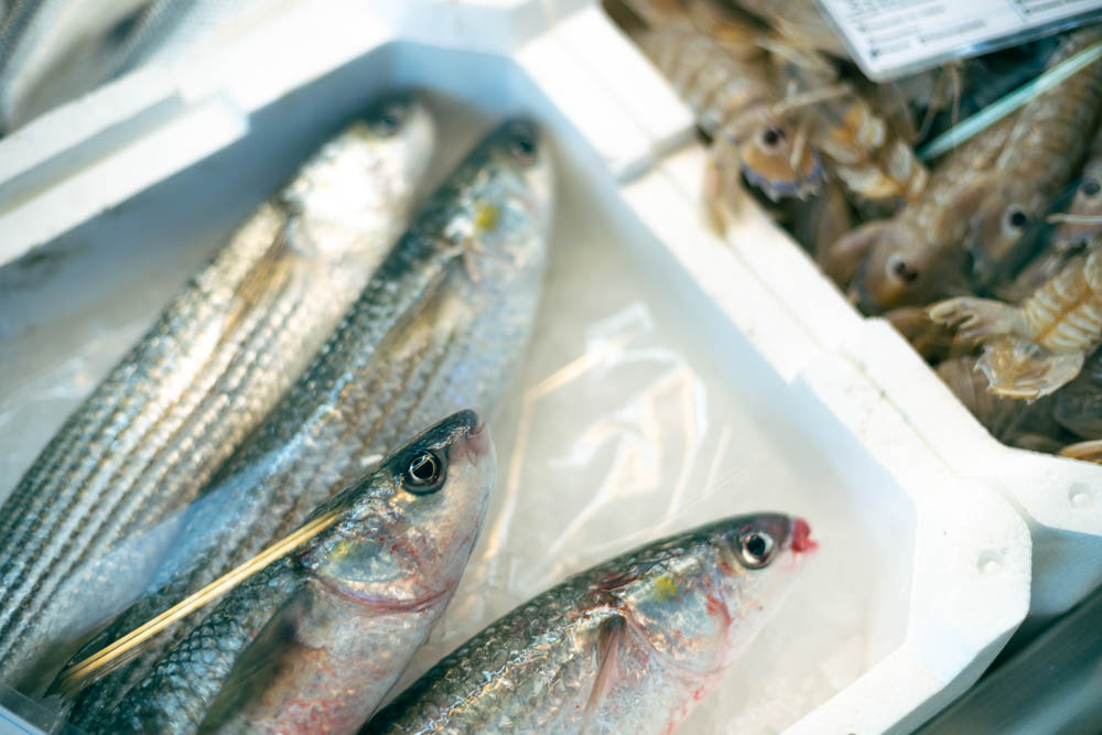 Coronavirus e pesca: la scelta della Marineria di Cesenatico