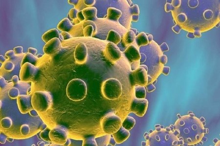 coronavirus