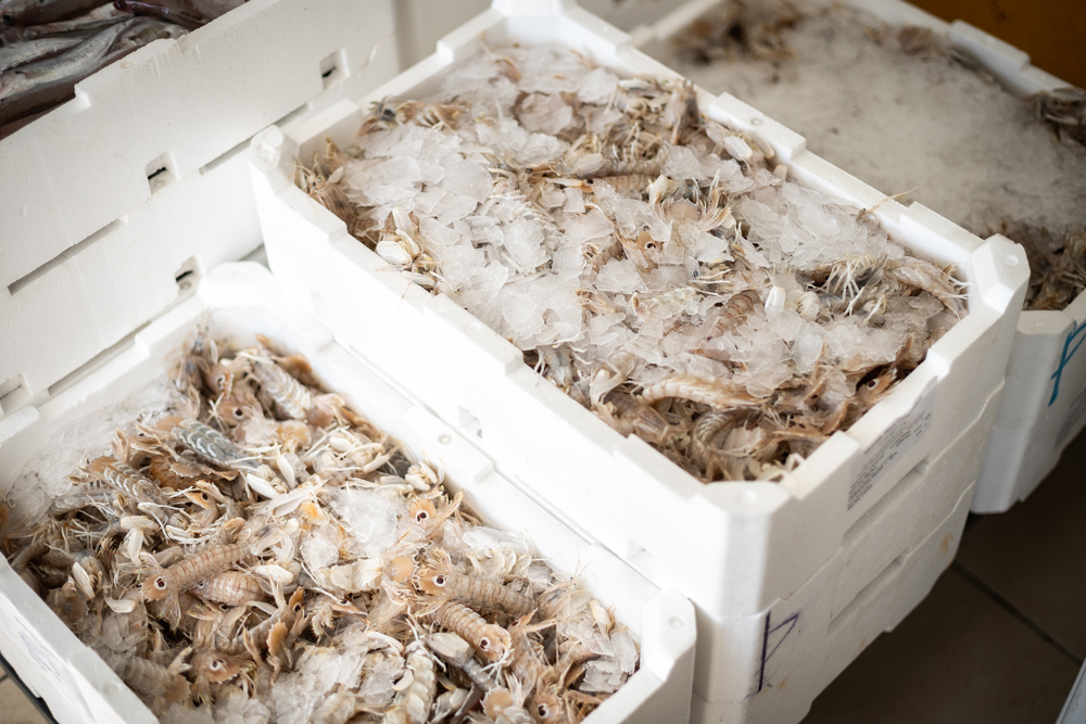 Tra il Cielo e il Mare, l’incontro a tavola con i pescatori