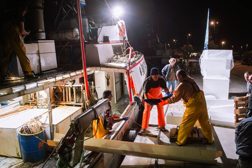 “La Regione faccia ripartire la pesca al tonno rosso”