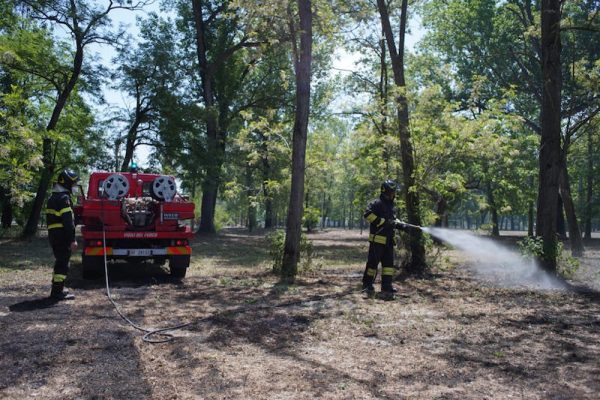 incendio parco ponente