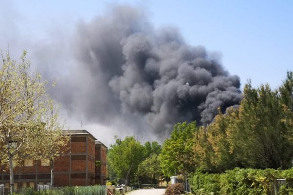 incendio parco ponente