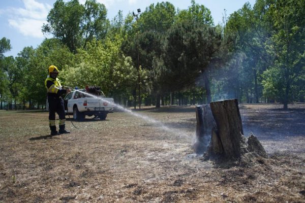 incendio parco ponente