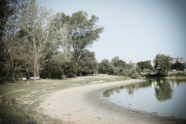 MAZ01872