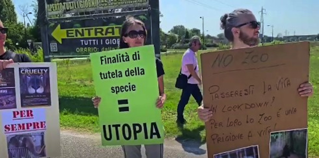 Sit-in di protesta contro lo Zoo Safari di Ravenna