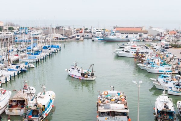 pesca cesenatico porto