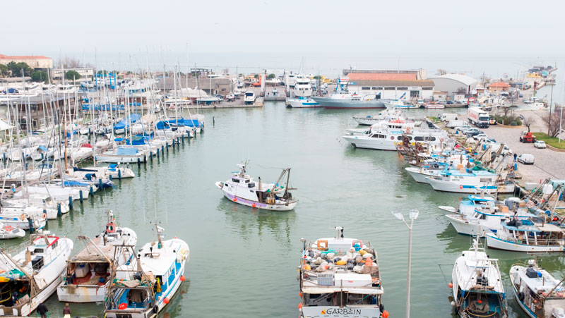 pesca cesenatico porto