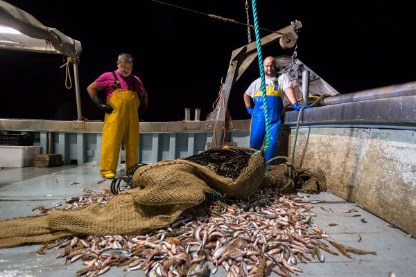 pesca cesenatico porto