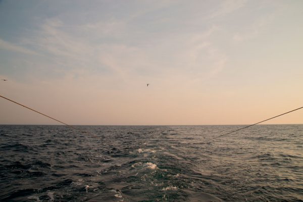 pesca cesenatico porto