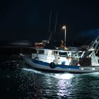 pesca