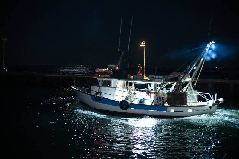 La marineria di Cesenatico torna in mare