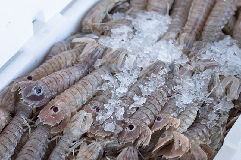 Ritorno in mare dopo il fermo, ecco le quotazioni del pesce