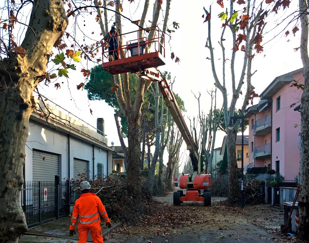 Verde pubblico, “Al via intervento senza precedenti”