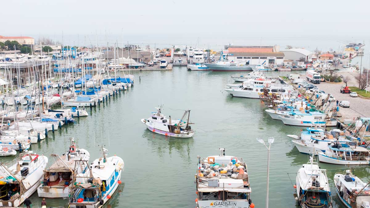Fermo pesca “violato” per la tradizionale ‘Rustida dei pescatori’
