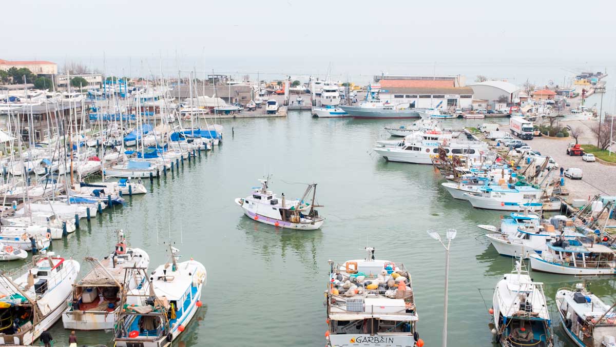 A mezzanotte finisce il fermo pesca: prende il largo la marineria di Cesenatico