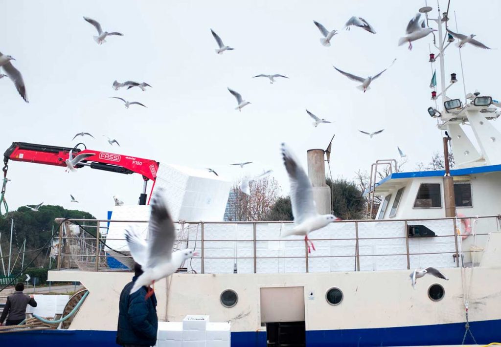 porto di cesenatico