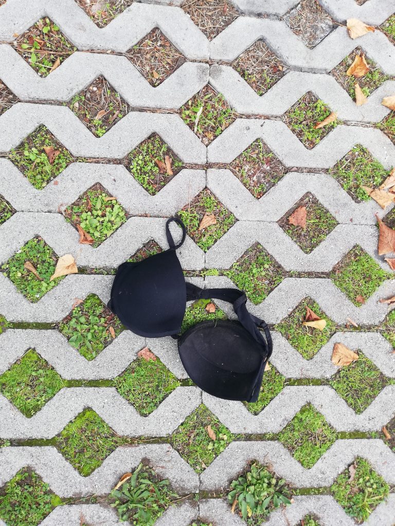reggiseno