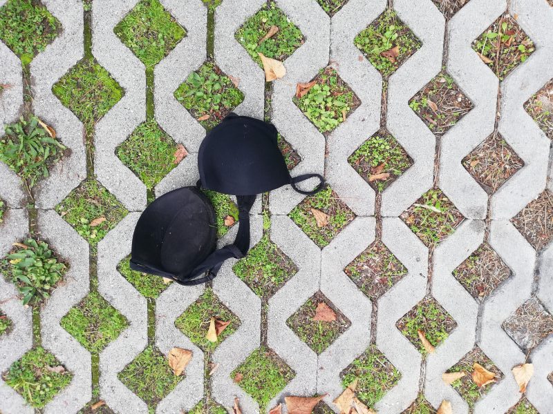 reggiseno