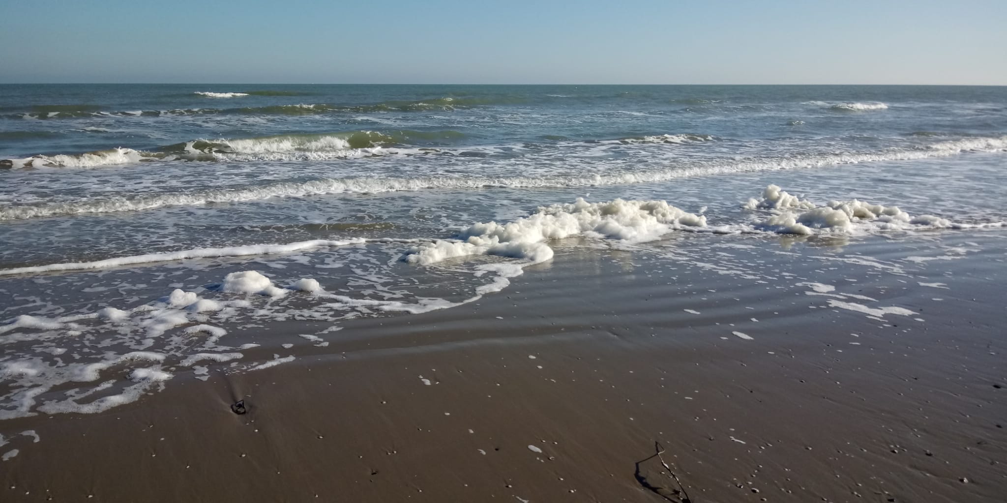 Schiuma in riva al mare? No detersivi, ma frullato di plancton