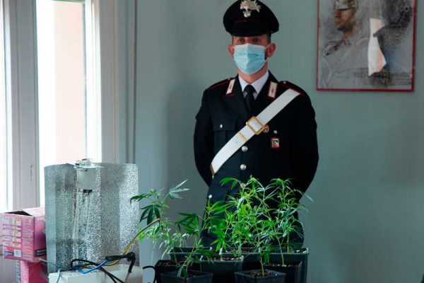 cannabis carabinieri