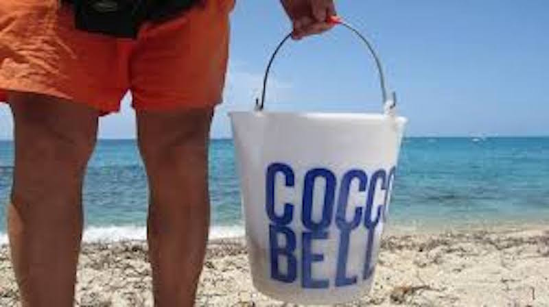 Multa da 10mila euro per il venditore di cocco