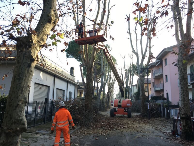 Il Comune ha investito 350mila euro per la manutenzione del verde