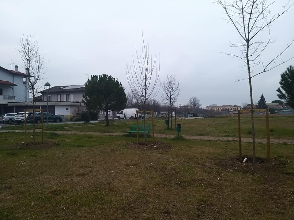 Nuovi alberi a Sala con un giardiniere d’eccellenza