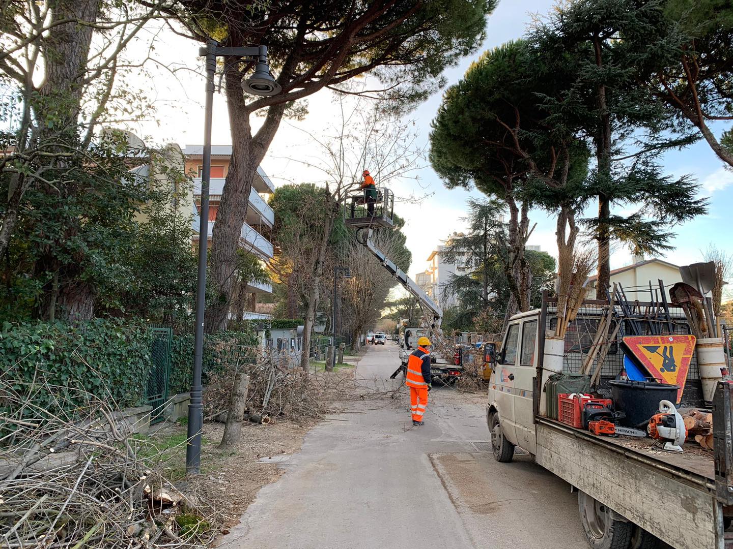 Piano delle potature, oggi operai in azione in viale Sassari