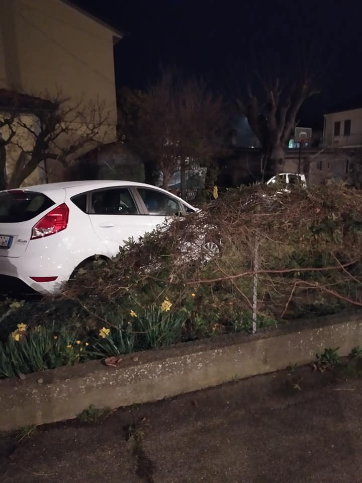 Auto tira dritto e finisce nel giardino di un’abitazione