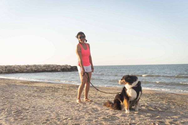 cani in spiaggia