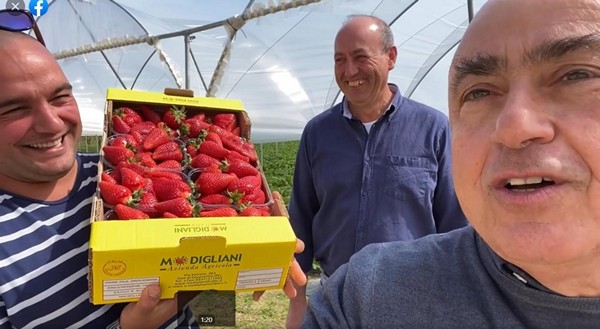 Paolo Cevoli celebra in un video le fragole di Cesenatico