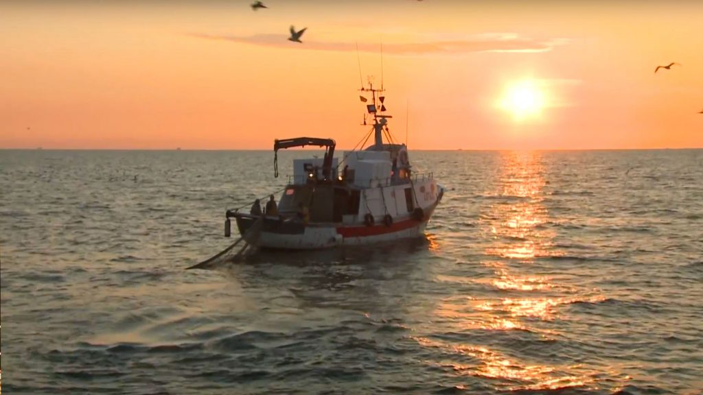 Bonaccini: “Subito risorse per la pesca ma stop alle intimidazioni”