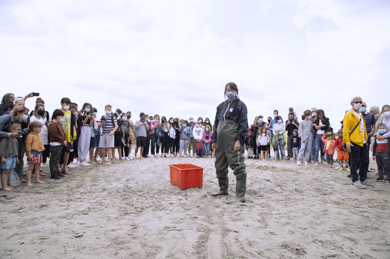 Pescatore dei record. Salvate 200 tartarughe in 10 anni