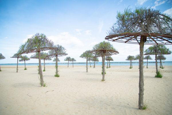 spiaggia tamerici green