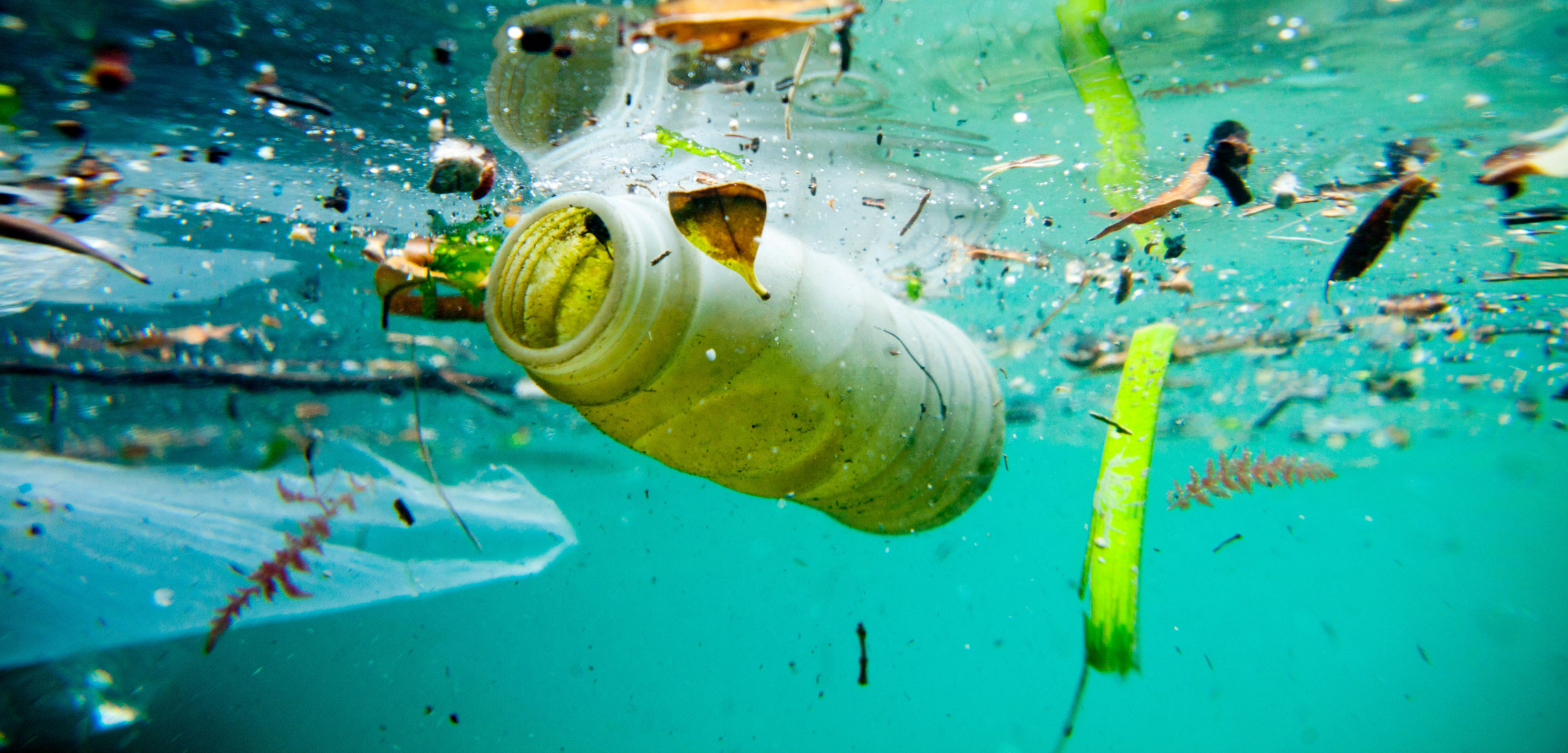 Startup paga ai pescatori la plastica recuperata in mare