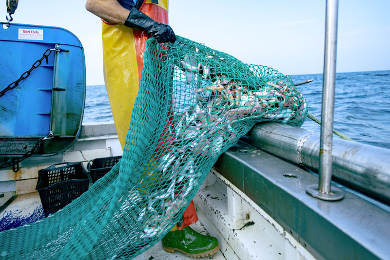 Caro gasolio, per la pesca in arrivo indennizzi dalla Regione