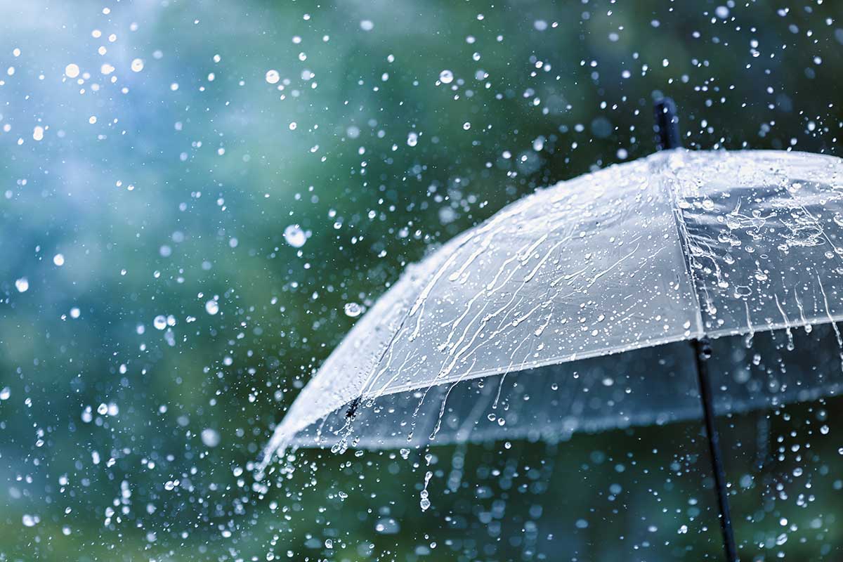 Arriva la pioggia, un “toccasana” per l’agricoltura