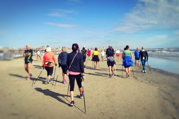 nordic walking