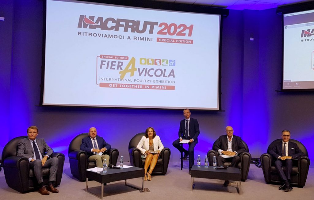 macfrut