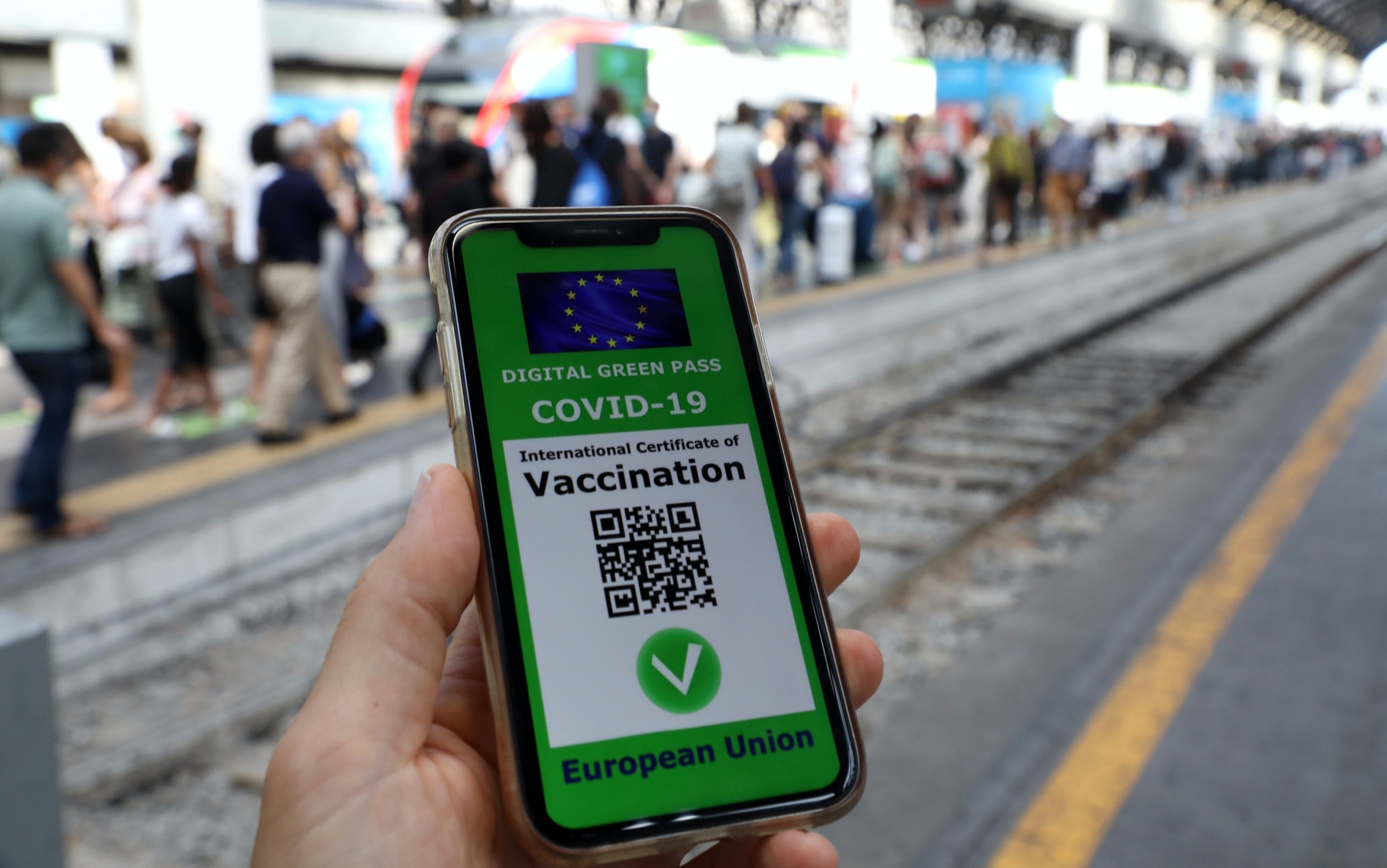 Due gatti in stazione: in Romagna un flop le proteste contro il Green Pass